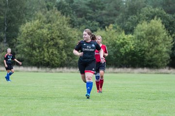 Bild 217 - Frauen SG NieBar - HSV 2 : Ergebnis: 4:3